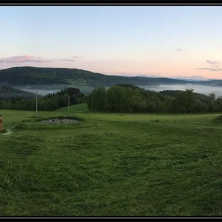 Swiety Spokoj * Palesnica