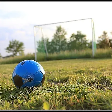 Swiety Spokoj * Palesnica